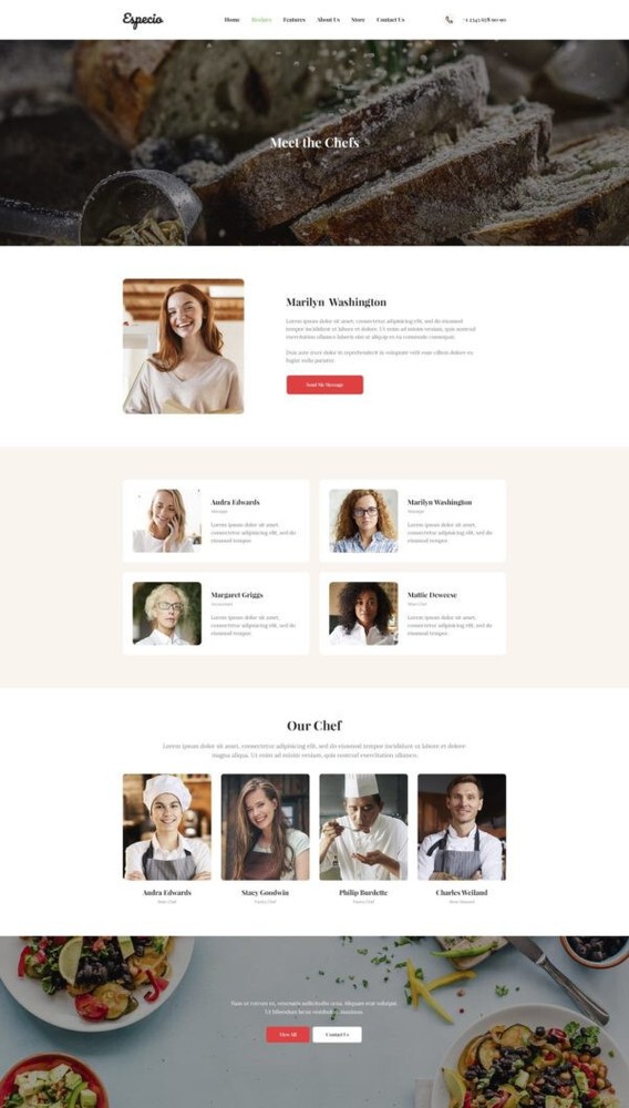 Premium Wordpress Elementor Template Kit Bundle | Blog & Podcast theme