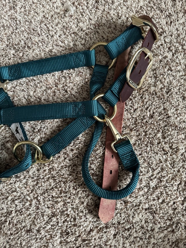 Weaver Leather 1” Breakaway Small Halter No Crown Teal