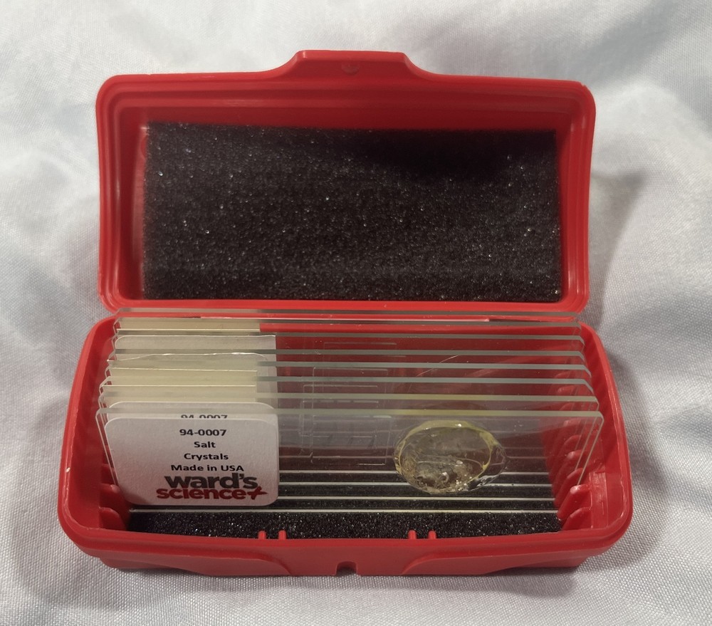 Ward's Science - Microscope Slides - Protozoa Plaque - Set Of 8 Slides & Case