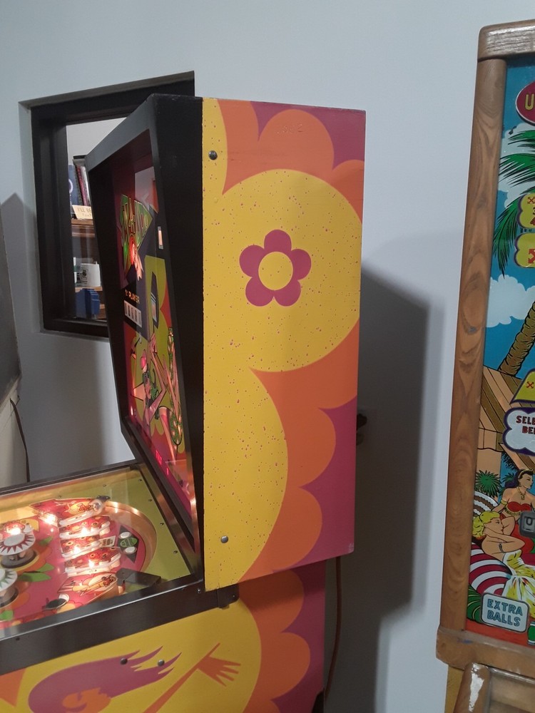 Zip-A-Doo Pinball Machine by Bally