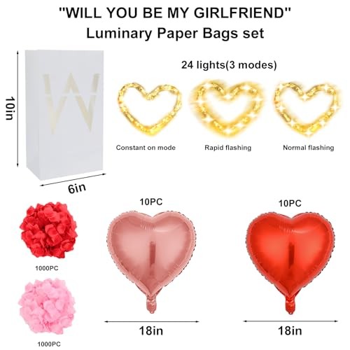Will You Be My Girlfriend Sign - Light Up Letters Proposing Decorations Set