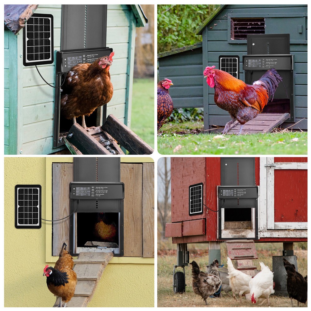 Solar Automatic Chicken Coop Door Opener with Timer Light Sensor Remote Control