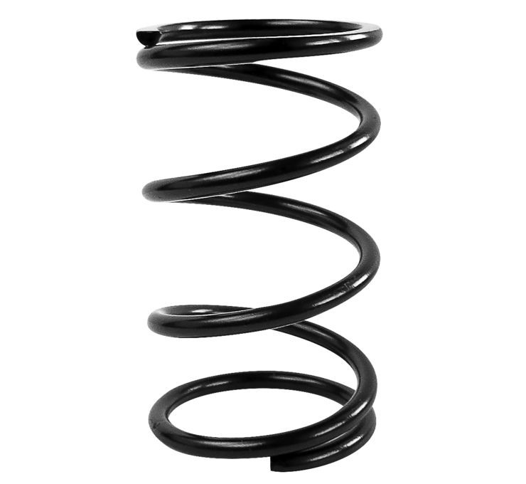 EPI Primary Clutch Springs Blue CAPS2