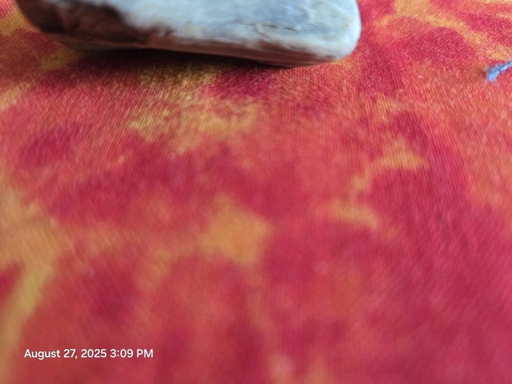 petrified wood