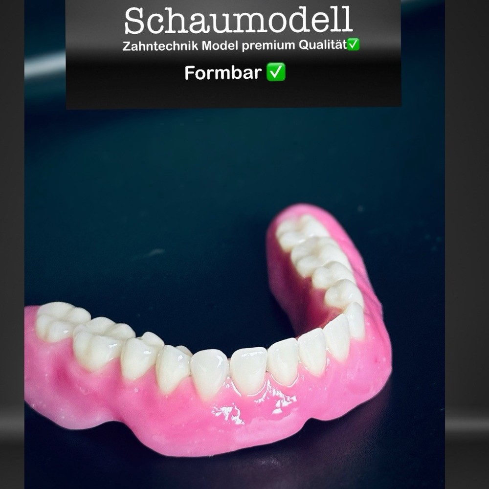 Foam model, teaching model prostheses model dental technology model, tooth