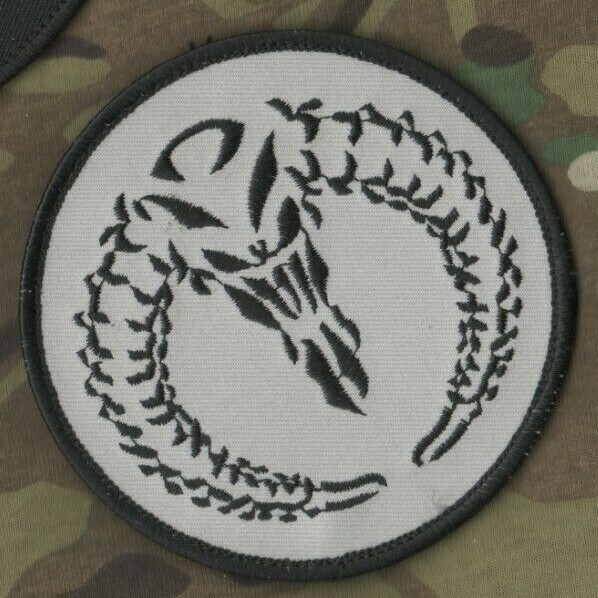 PRIVATE MILITARY CONTRACTOR PMC DIPLOMATIC SECURITY DSS burdock PATCH: RAM SKULL