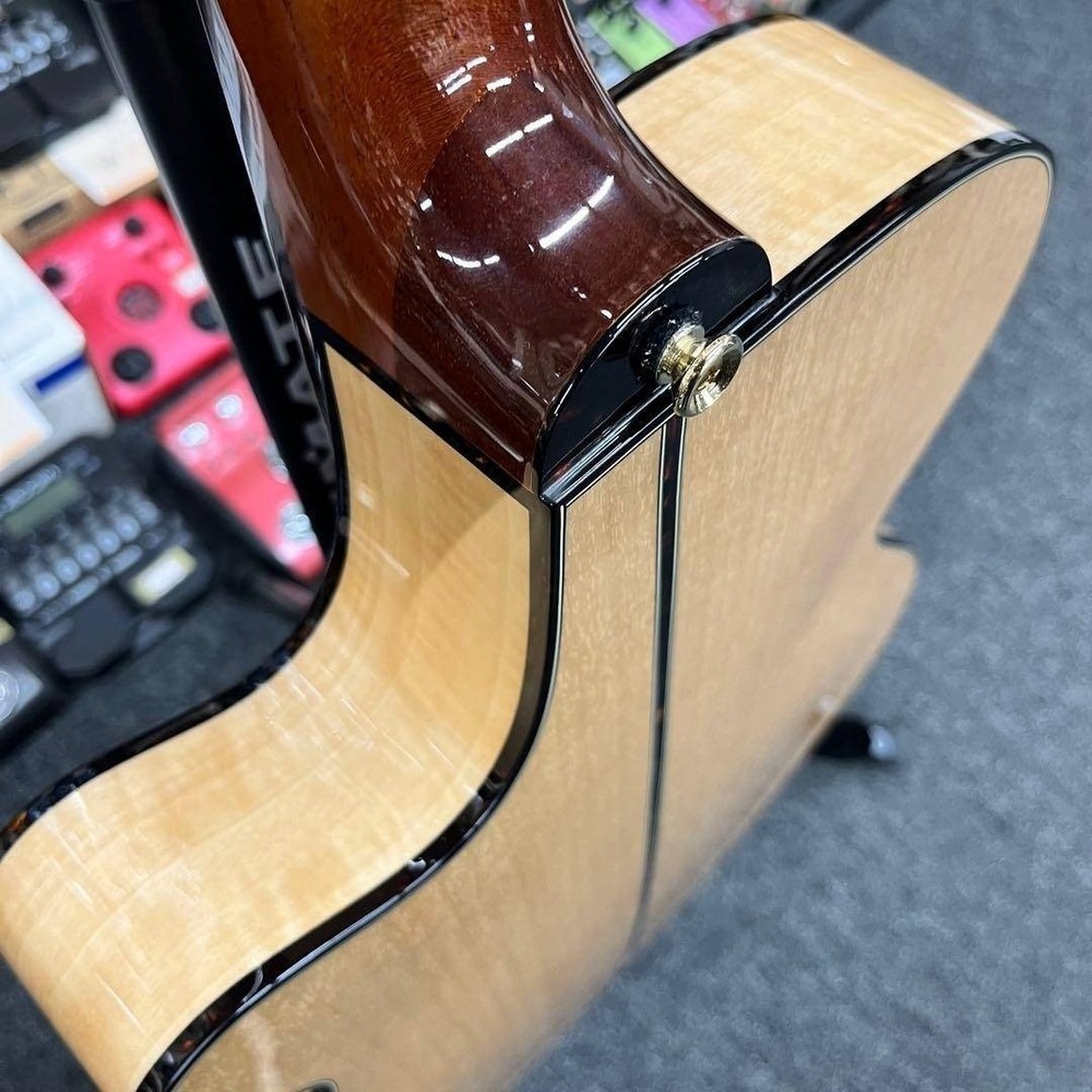 Takamine TSP10SN 552802