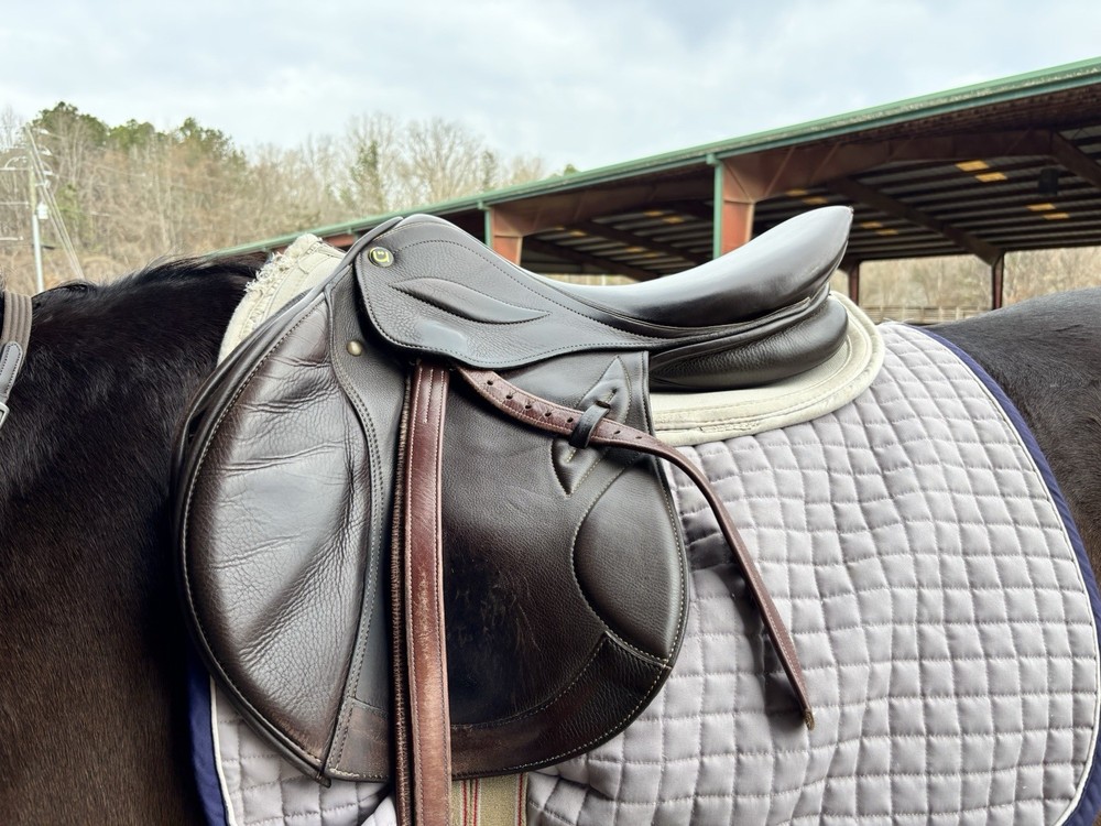 Stubben Phoenix Elite Jump Saddle