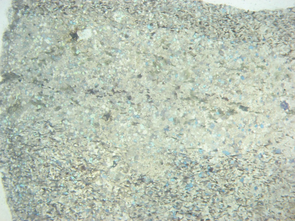 Geological Formation 25 Thin Section Slides Precambrian to Miocene Fossils Rocks