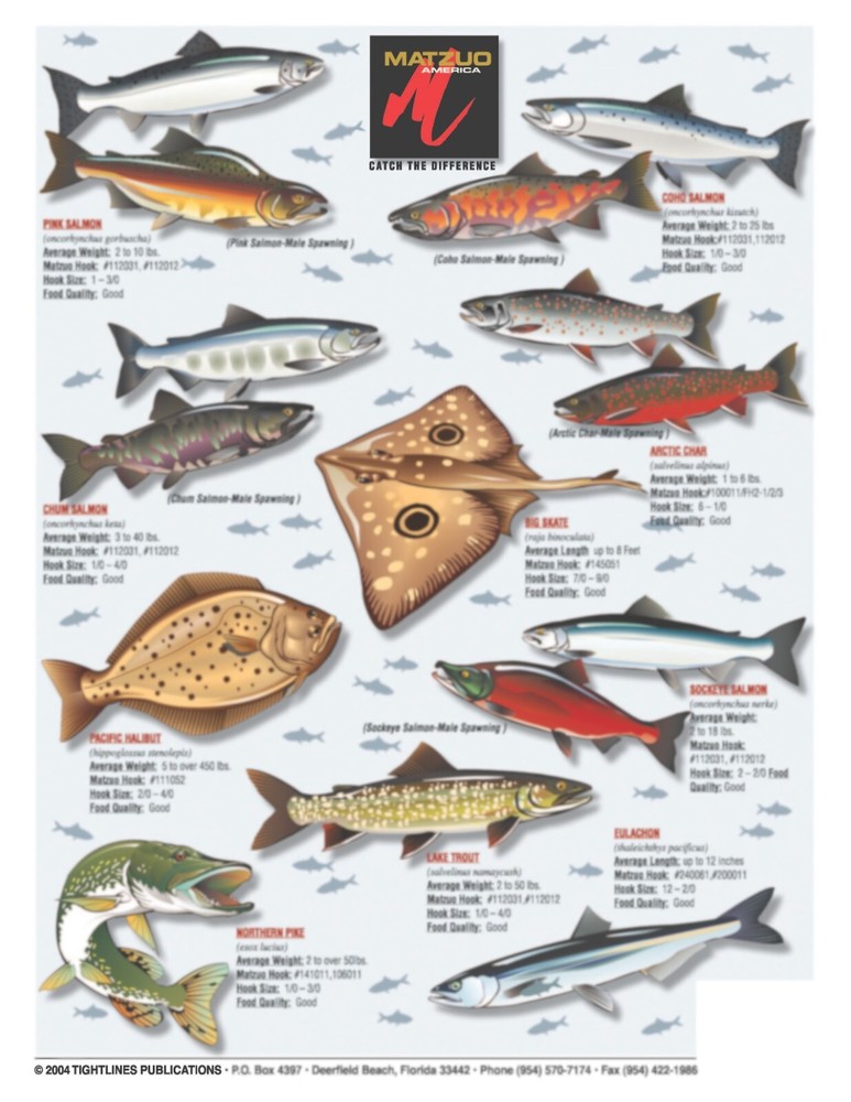 Fish Of Alaska Identification #16 - Waterproof Reference Guide