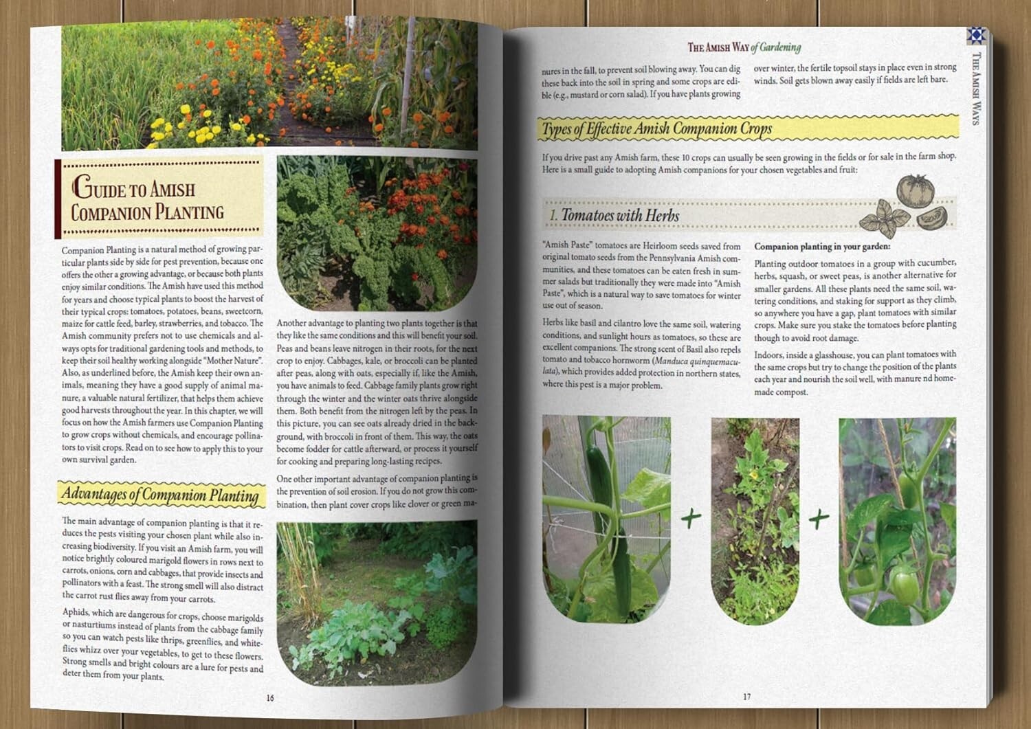 The Amish Ways (paperback with color pictures)