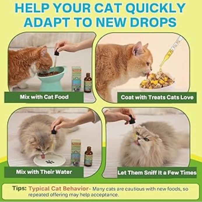 Lysine for Cats Drops