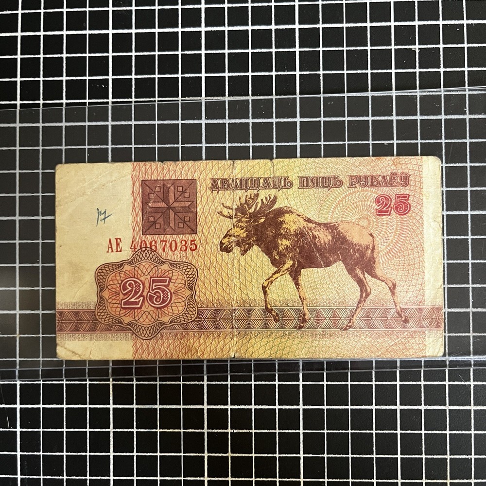 Belarus 1992 25 Rublei Crculated Banknote OCB