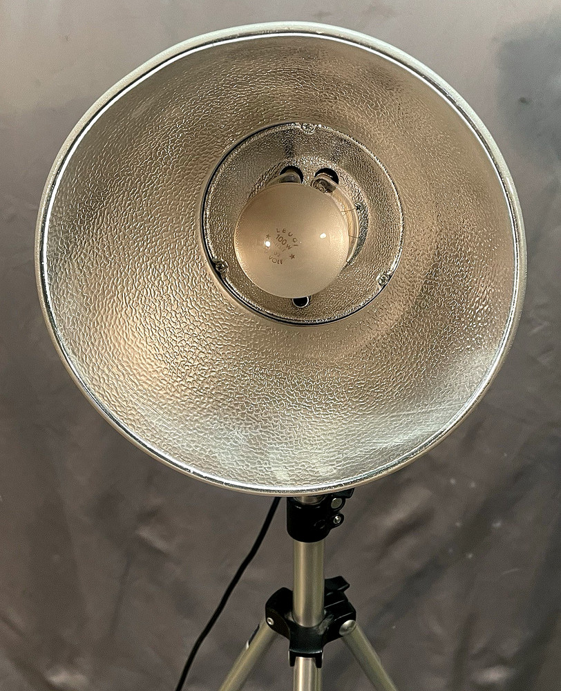 Elinchrom Multi Voltage Flash Unit Style 250 Flashlight on Expandable Stand