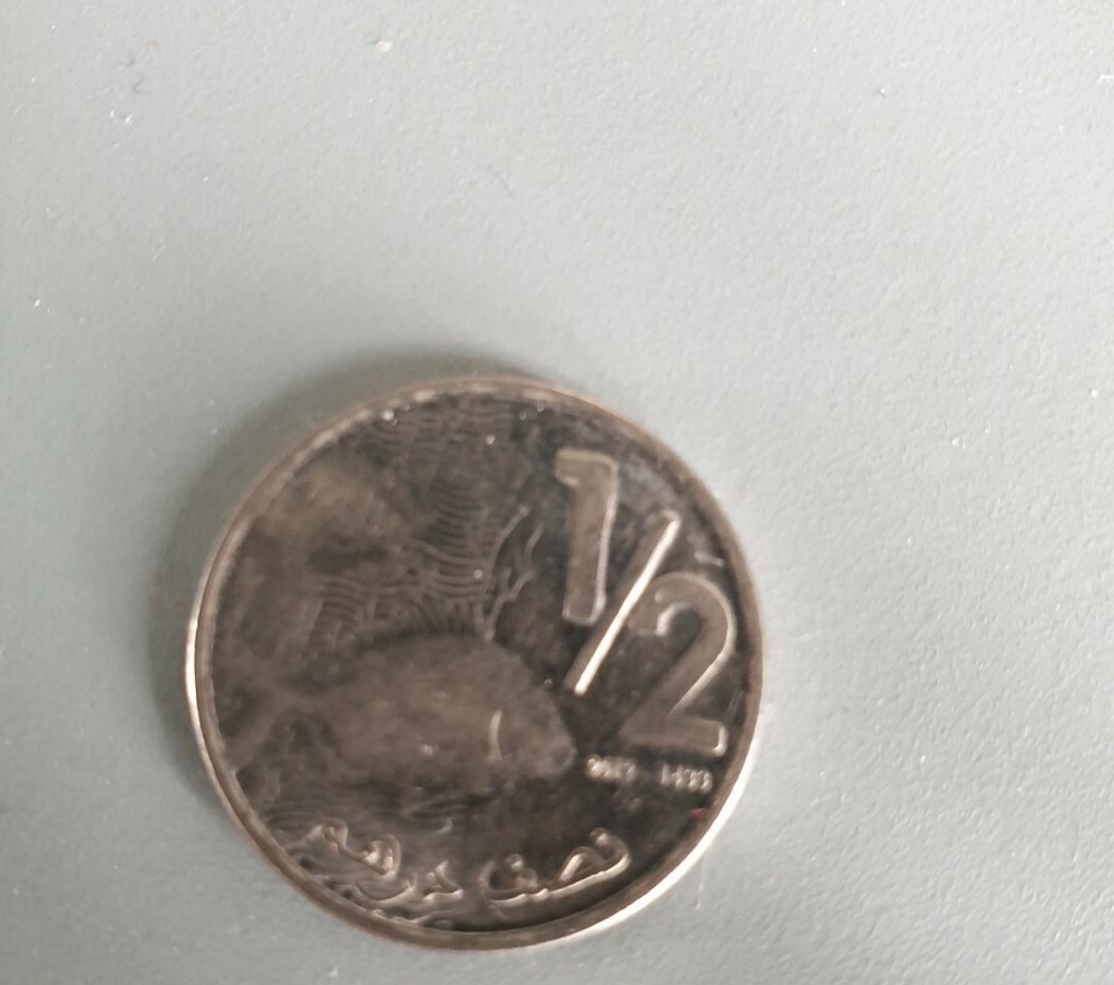 2012 & 2019 Morocco 1/2 Dirham Coin Moroccan Coins