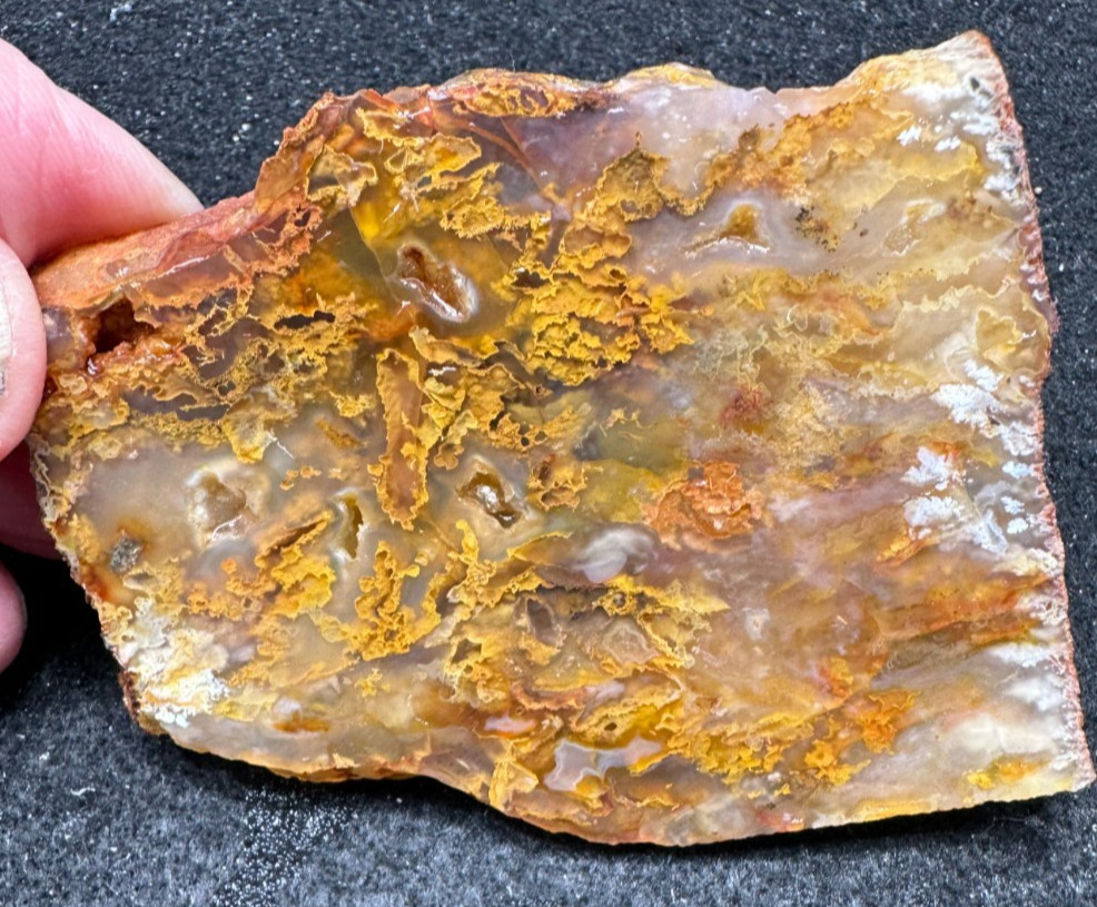 Graveyard Point Plume Agate slab, great for cabbing 2.11oz (#1048)