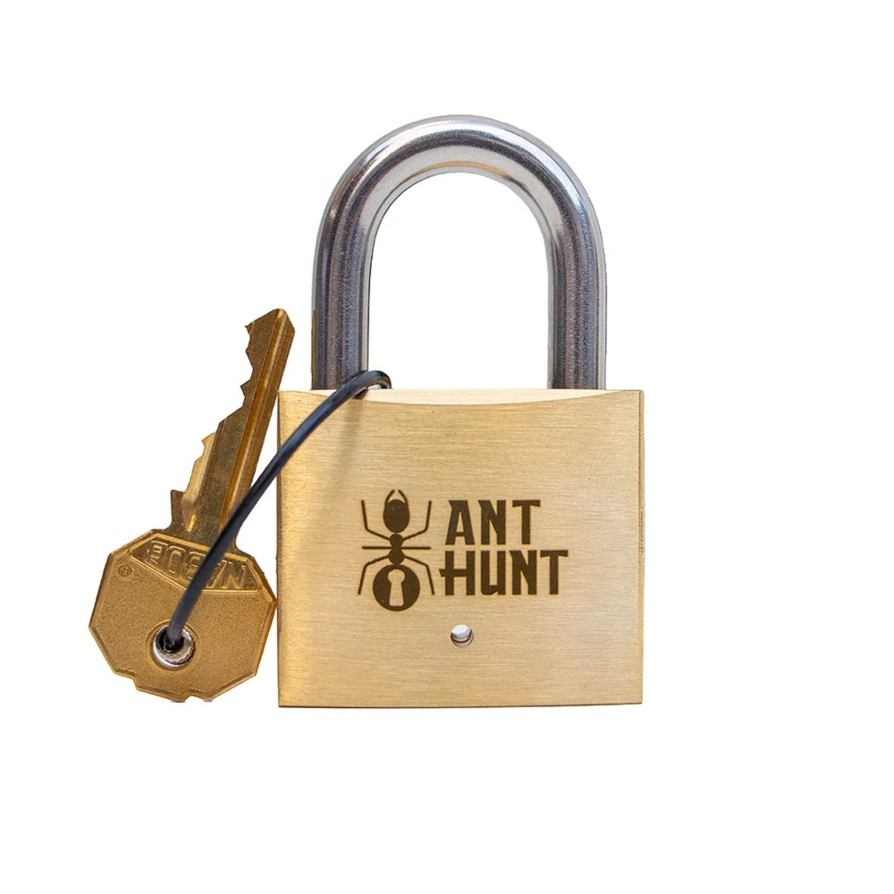 Ant Hunt - Puzzlocks - Boaz Feldman - Lock Puzzle