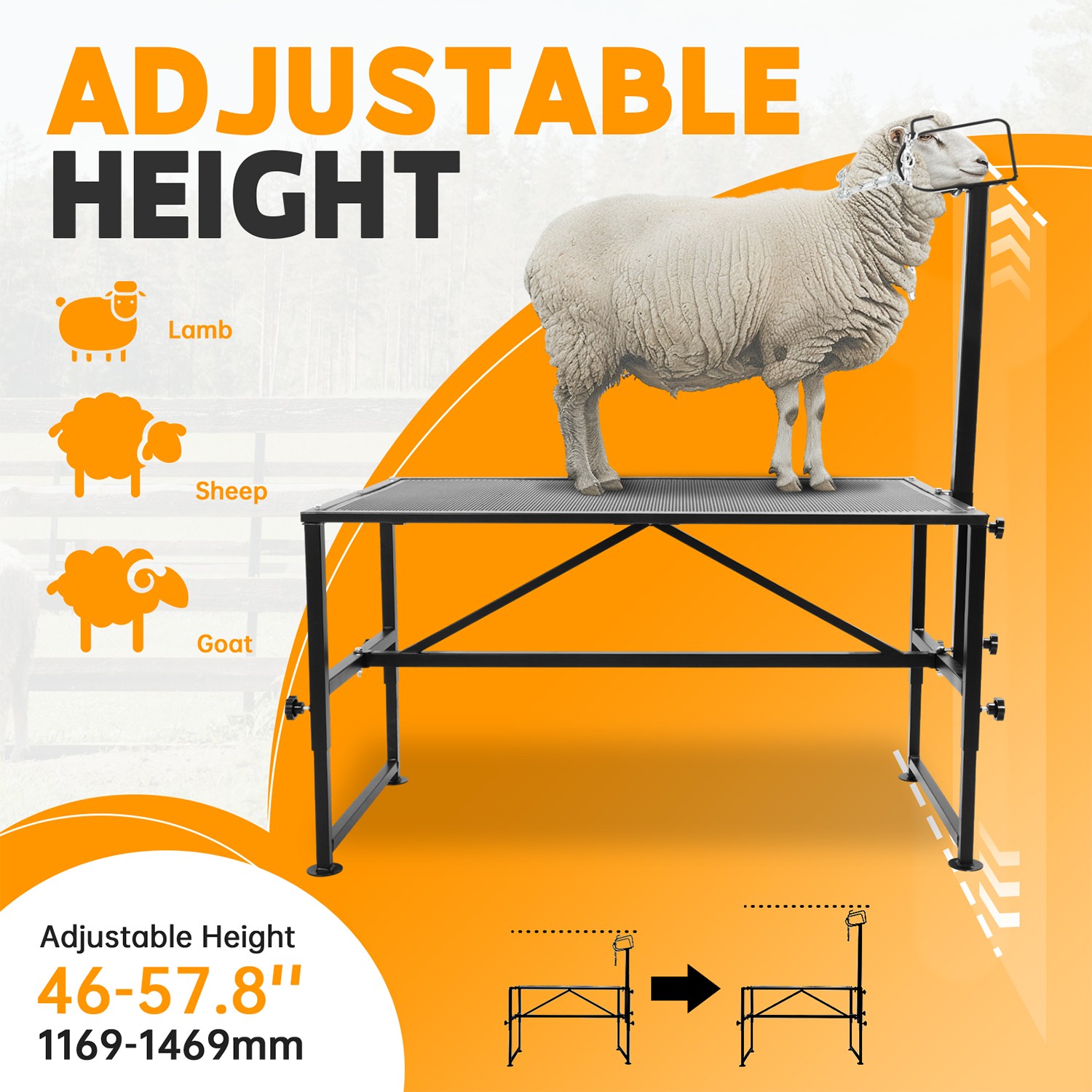 Adjustable 51x24" Metal Trimming Stand for Sheep Goat Milking Livestock Stand