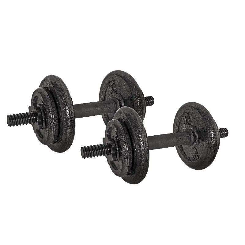 40lb Adjustable Cat Iron Dumbbell