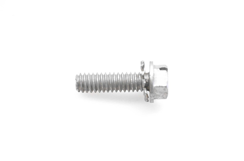 OMC 303591 Screw & Washer NOS
