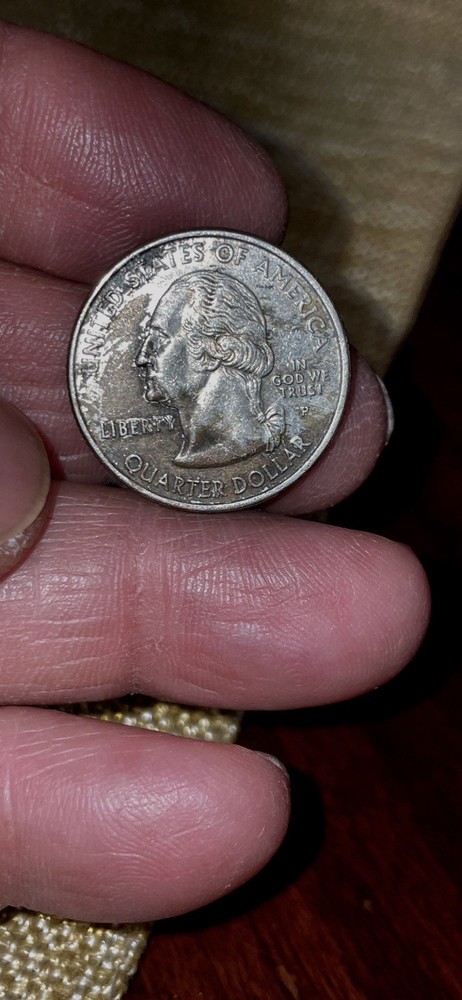 2001 P Quarter Error