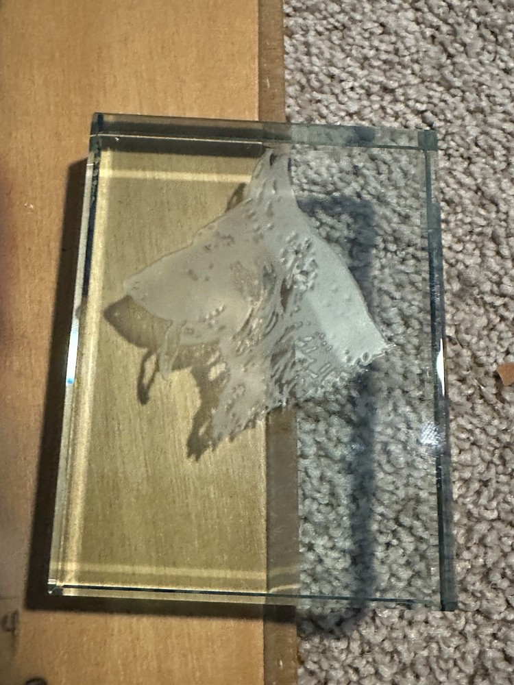 German Shepherds Lot
