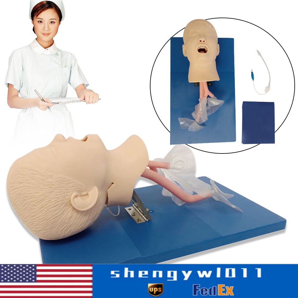 Intubation Manikin Study Teaching Training Model Airway Management Trainer Model