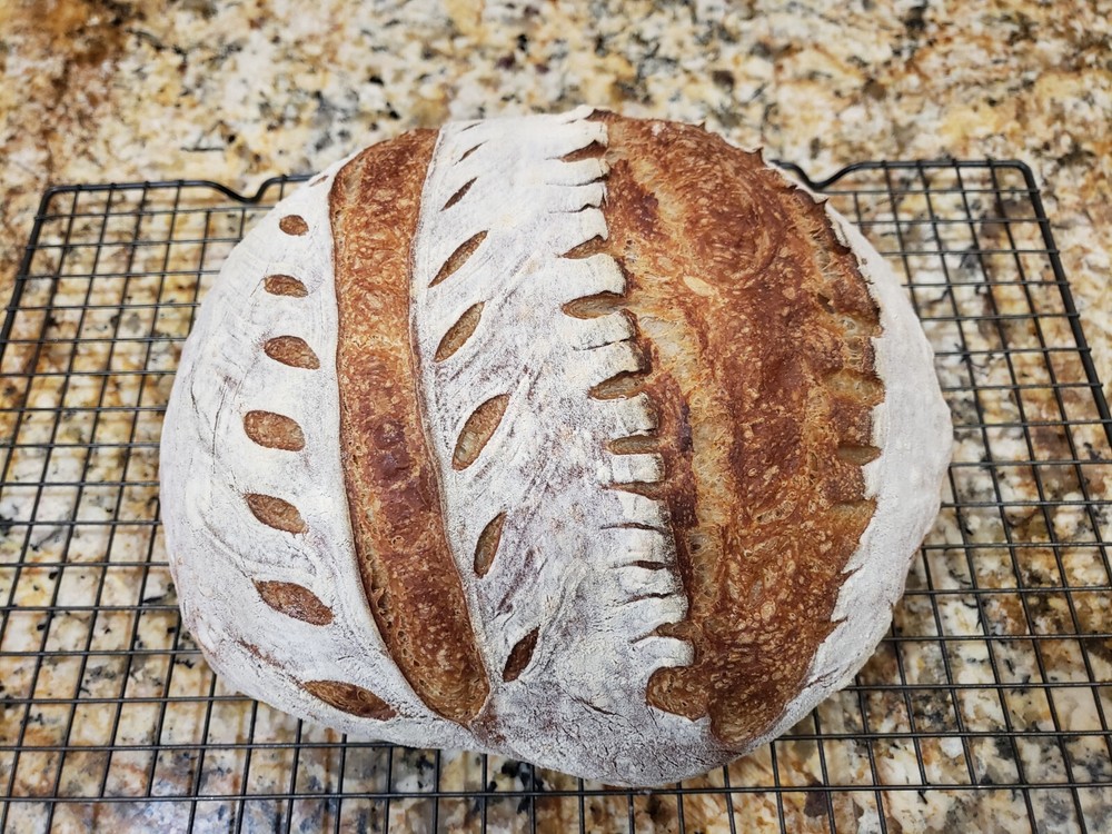 Organic DEHYDRATED SOURDOUGH STARTER