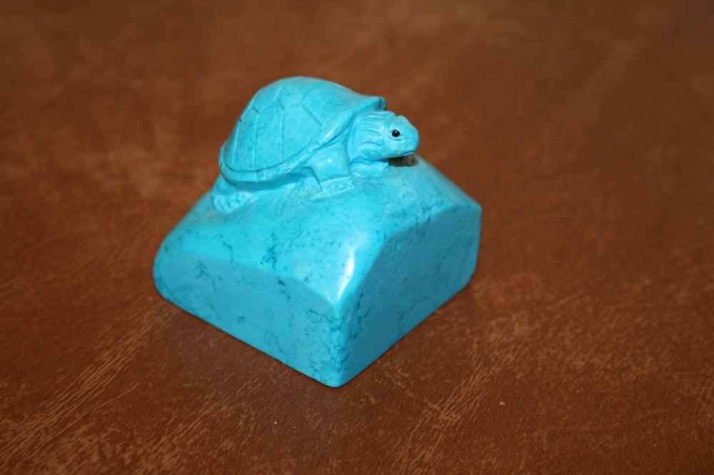 Turtle on a Rock