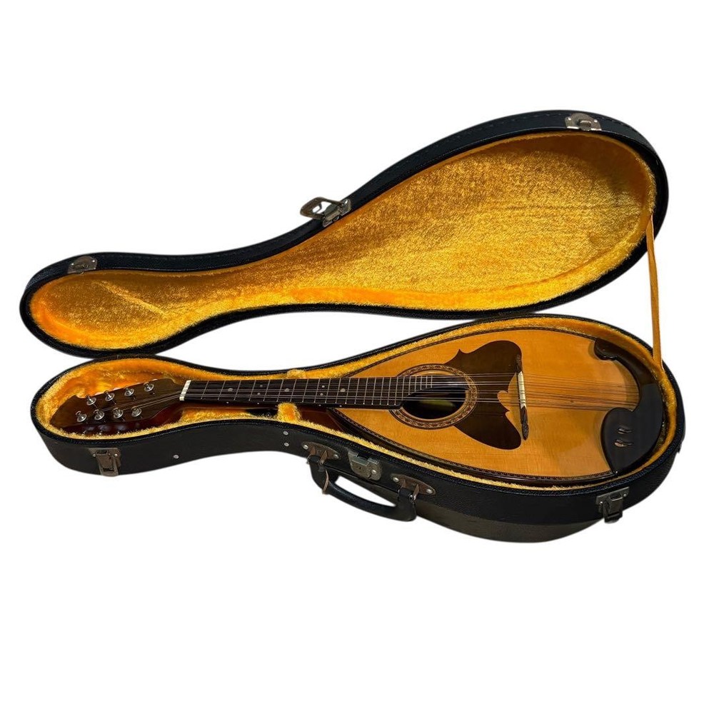 SUZUKI Mandolin M-218 with hard case