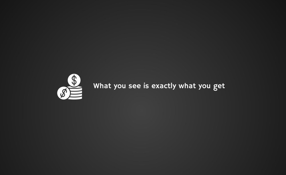 ERROR MISSING CLAD LAYER BOTH SIDES 2000 P Sacagawea Coin Ver Rare