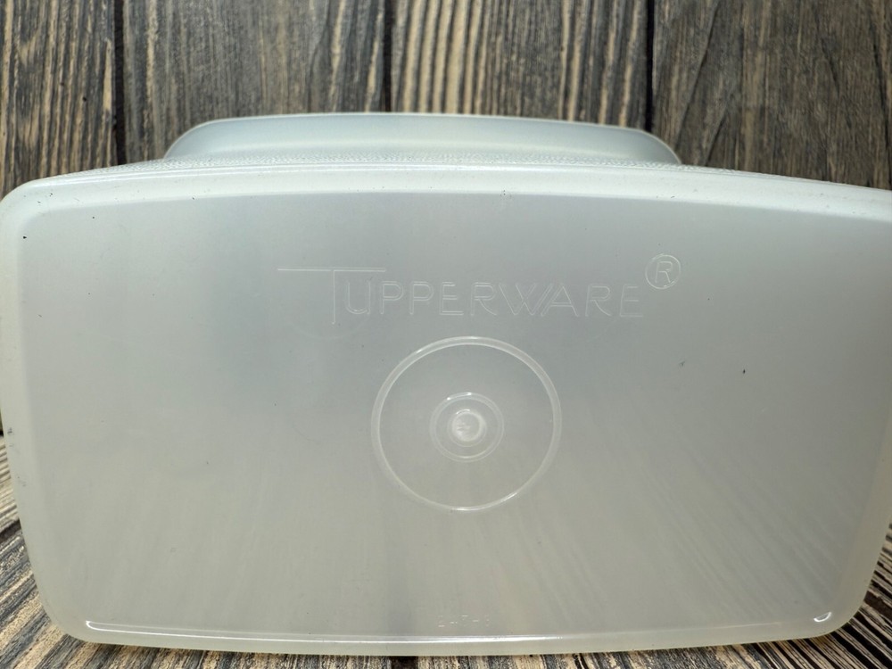 Tupperware Frosted Plastic Storage Container 243