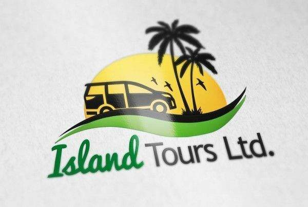 I will design an outstanding Logo Design
