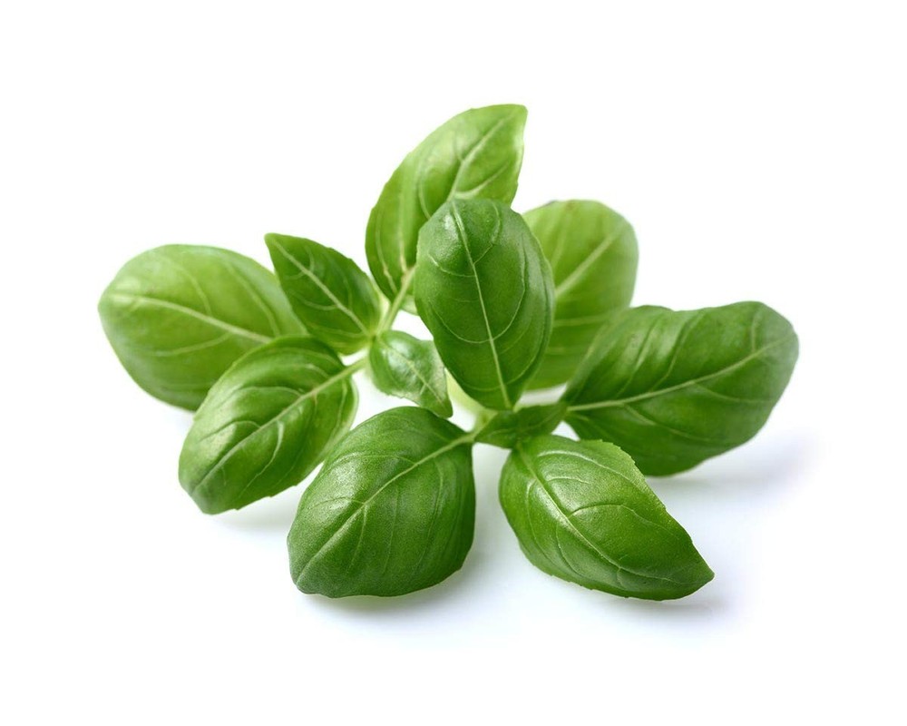 Smart Garden Basil Plant Pods, 3-Pack