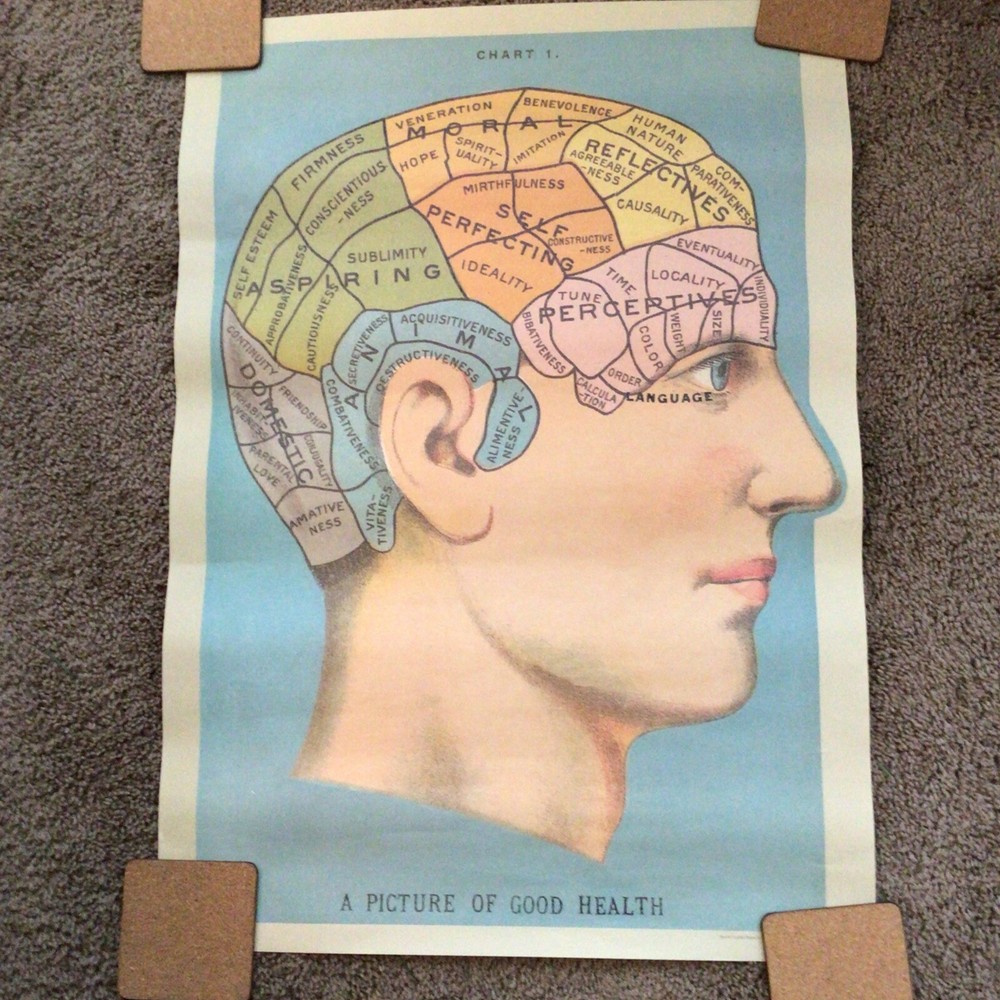 psychological head chart