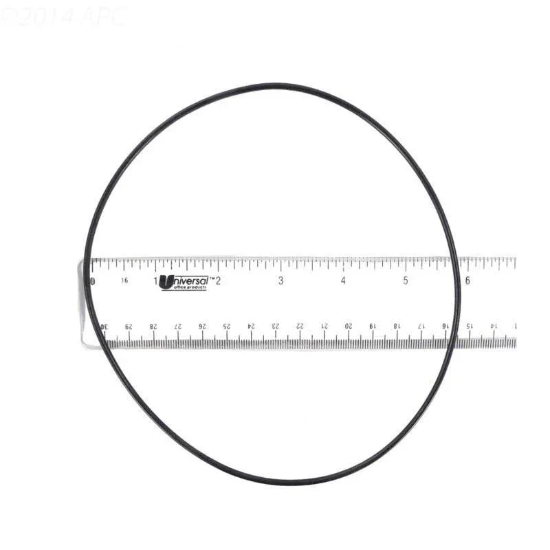 O-Ring, Pump Body