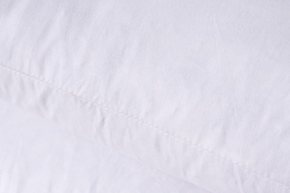 HOMESJUN Throw Couch Pillows Inserts, Set of 2 Down Feather Pillows Inserts B...