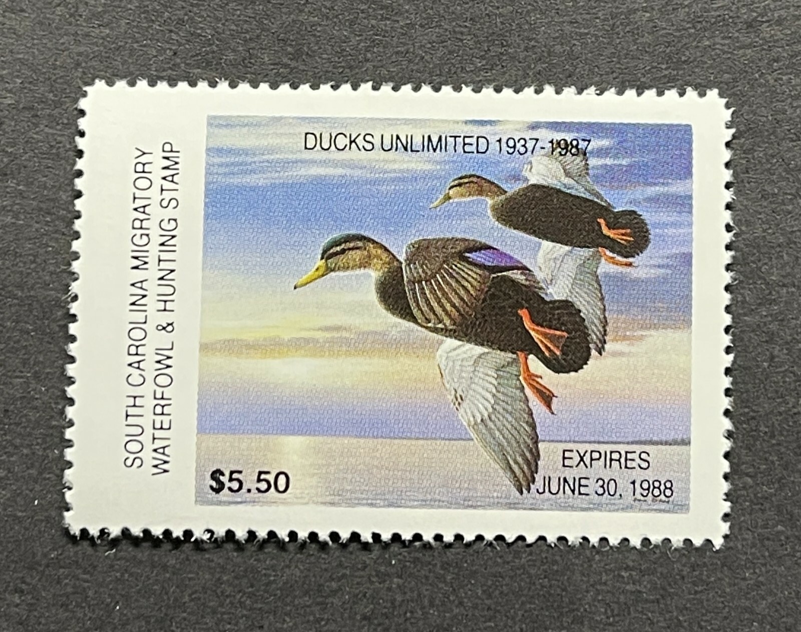 WTDstamps - 1987 SOUTH CAROLINA - State Duck Stamp - Lot1 - Mint OG NH