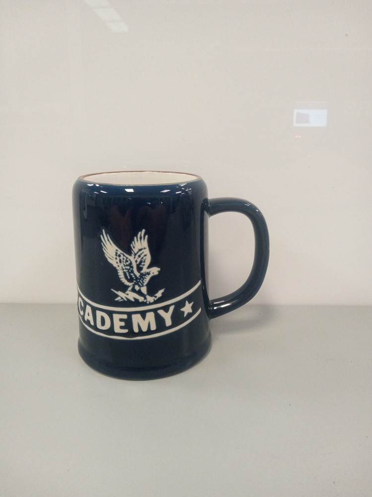USAF Academy Blue & White Stein Mug