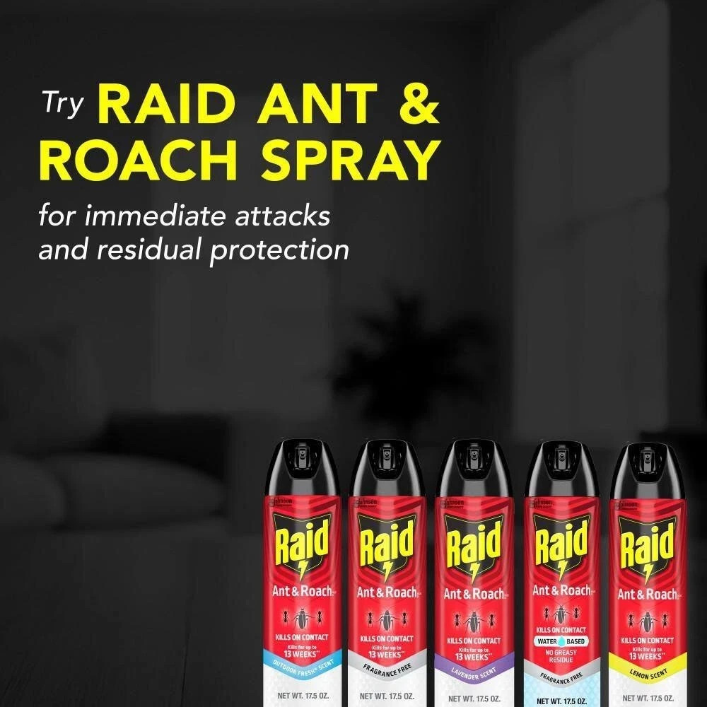 Raid Defend Ant and Roach Insect Killer, Indoor Insecticide, 20 oz. (2-Pack)