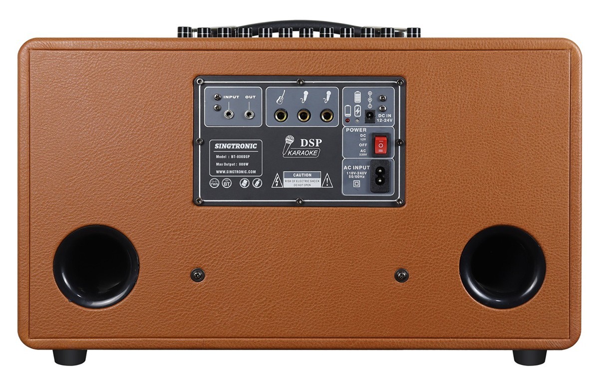 Singtronic BT-800DSP Portable 800W Bluetooth Karaoke Free: 2 x Wireless Mics