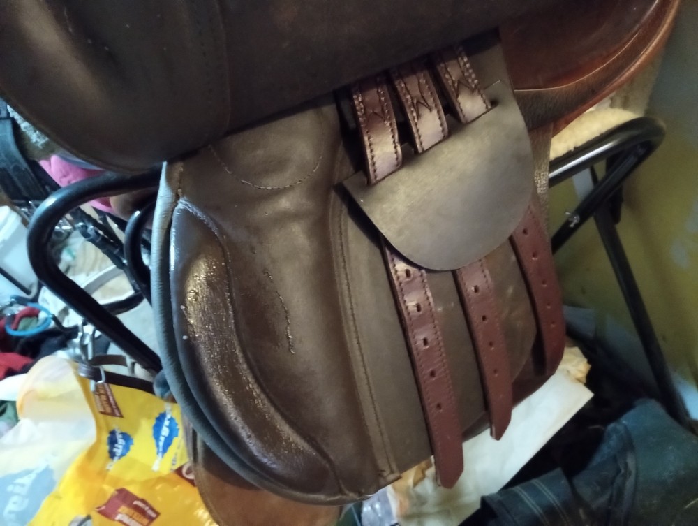 english saddle