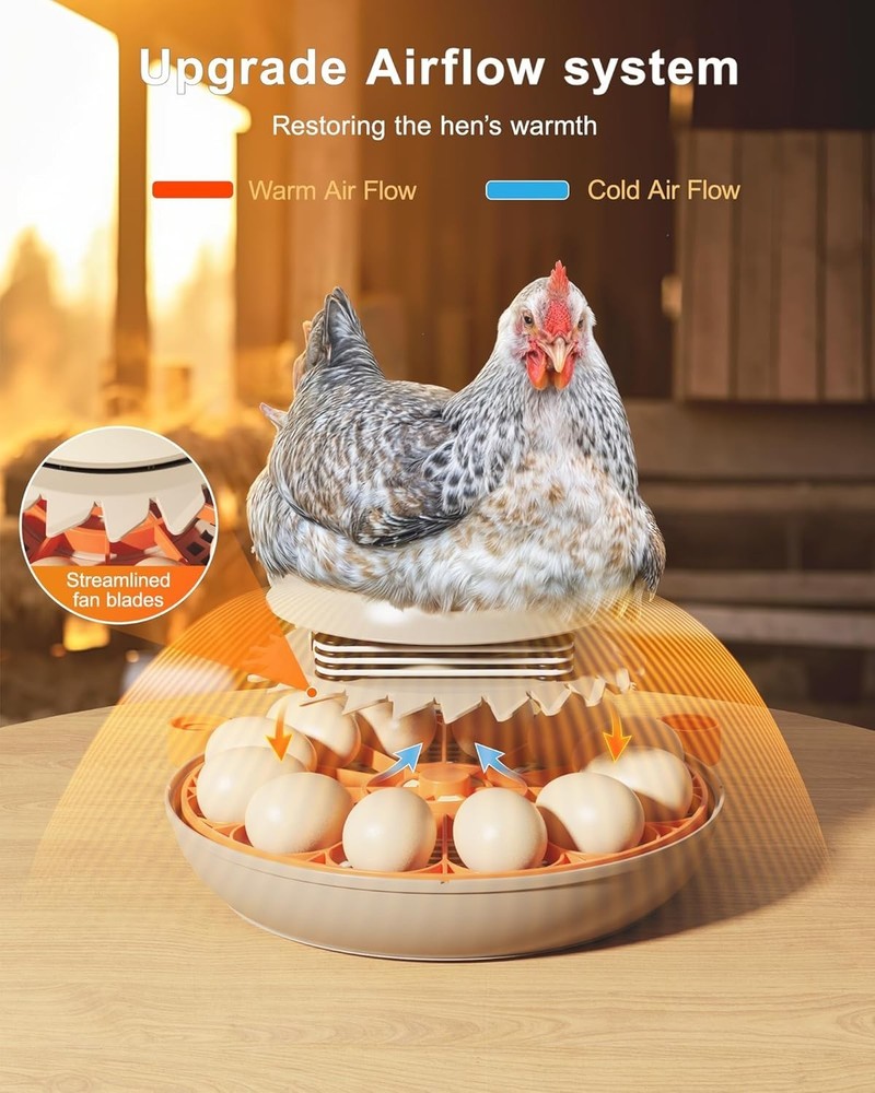 12 Egg Incubators for Hatching Eggs with Automatic Egg Turning and Humidity Cont