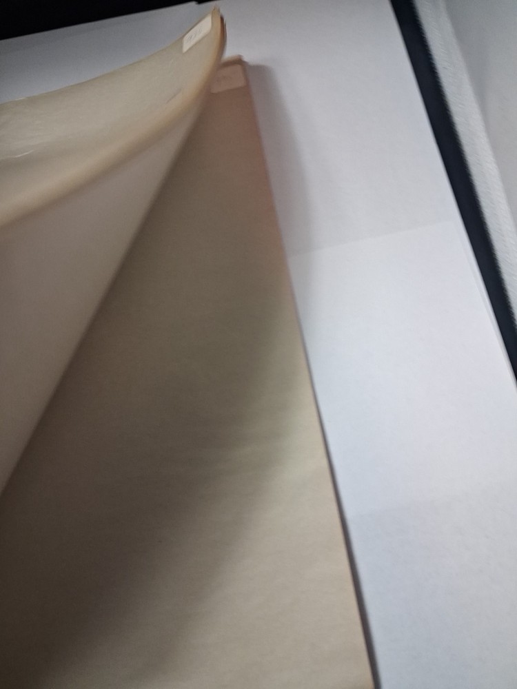 White Ace Standard Mint Sheet File 16 Sheets - 2 With Stamp Sheets Rest Empty