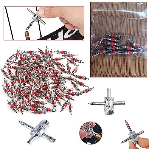 20 Pack Schrader Valve Stem Core Replacement with Tire Valves Stem Tool