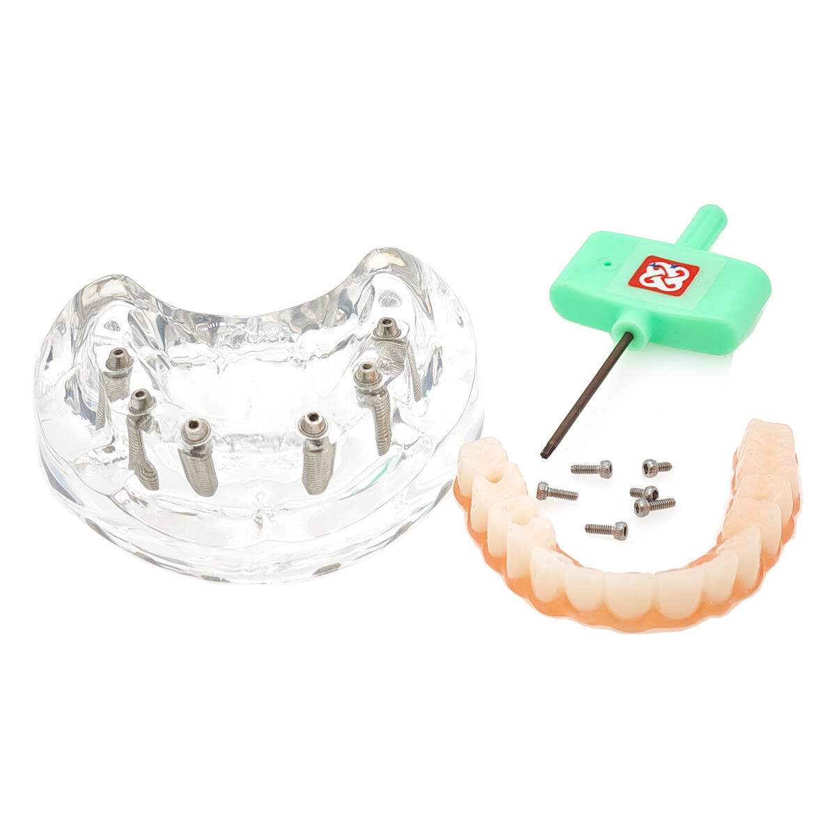 Dental Upper/Lower 4/6 Implants Demo Implant Teeth Model Restoration Overdenture