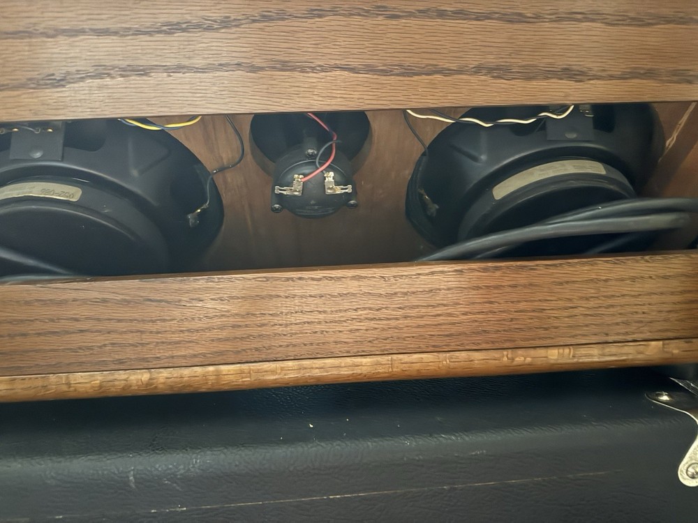 Rare Guild Tamarack Amplifier