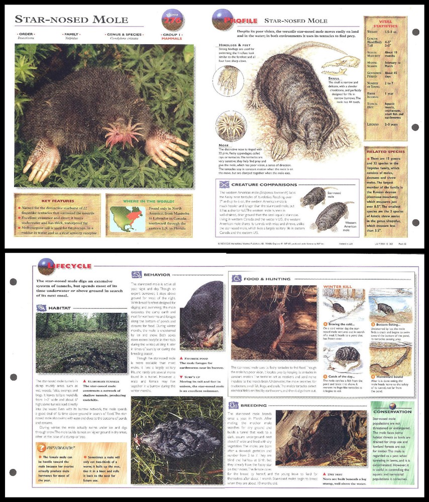 Fold-Out Sheet - Star-Nosed Mole - 276