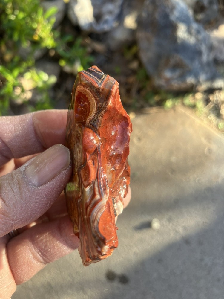 Crazy Lace Agate (End Cut)