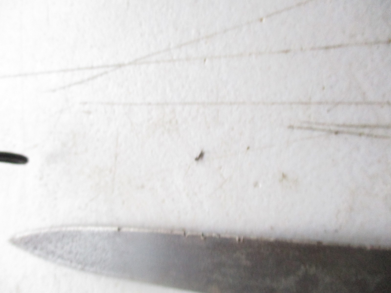 Imperial German M 1871 Cadet Bayonet with Blade Etchings